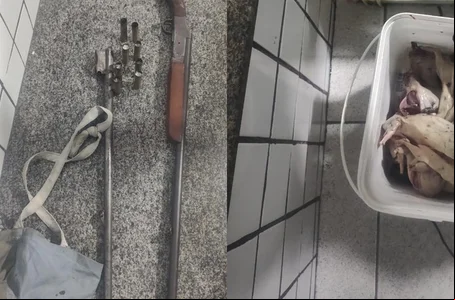 Espingarda e animais abatidos apreendidos em posse de um caçador em Alto Longá