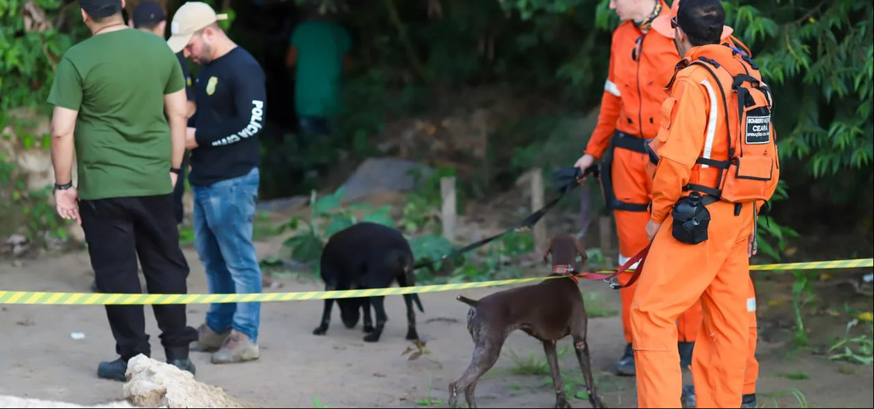 Cachorros dos Bombeiros do Ceará auxiliaram nas buscas