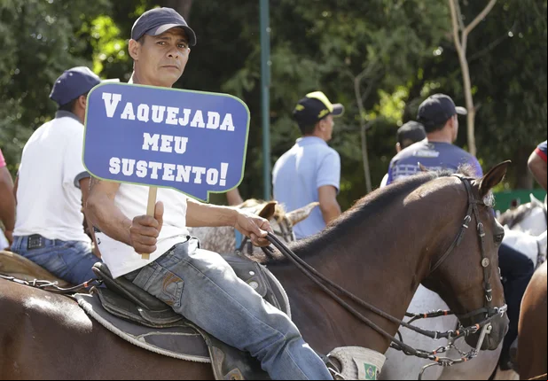 Manifestação em Teresina favorável a regulamentação da vaquejada