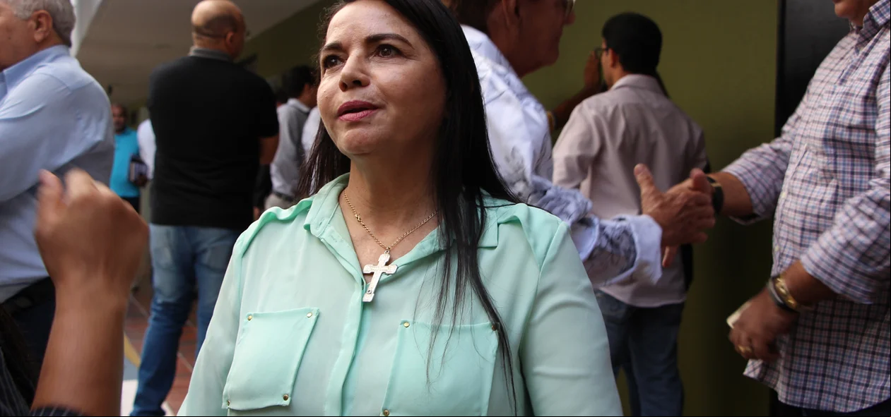 Vereadora Teresa Britto