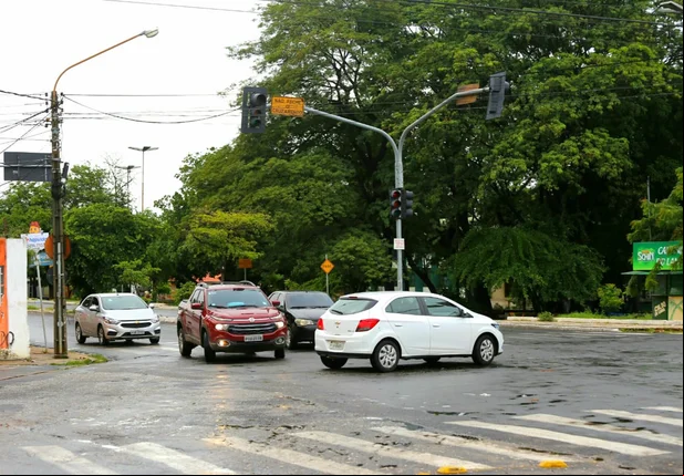 Queda de árvore causa transtornos a moradores na Vila Operária