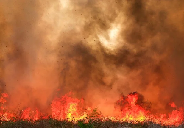 Incêndio de grande proporção atinge fazenda em Teresina