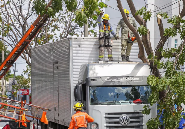 Árvore cai em cima de caminhão em Teresina